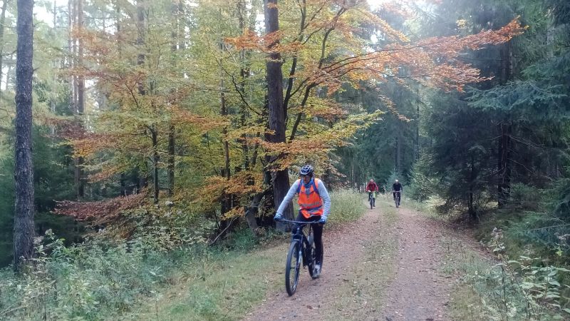 2022 MB Herbst